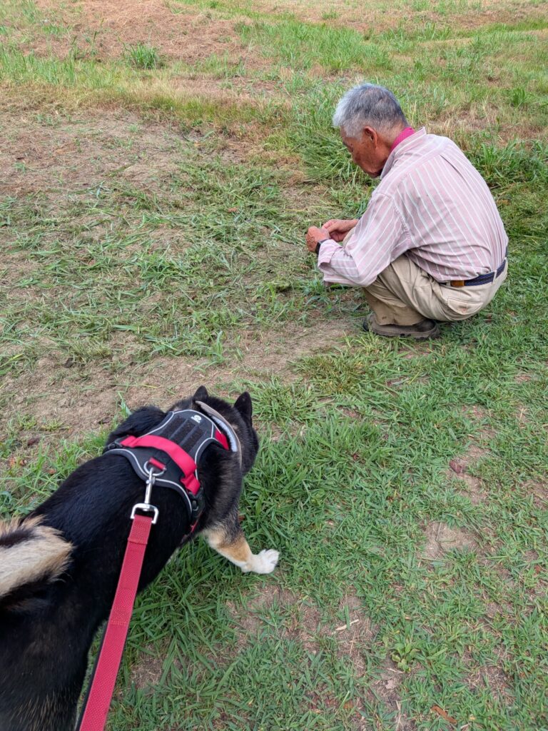 草の伸びについて教えてくださる西嶋さん